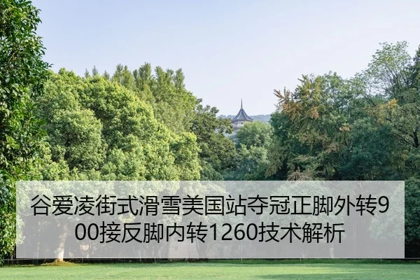 gu-ai-ling-jie-shi-hua-xue-mei-guo-zhan-duo-guan-zheng-jiao-wai-zhuan-jie-fan-jiao-nei-zhuan-ji-shu-jie-xi-2-174.jpg